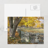 Herfst scène met boom- en steenwand briefkaart (Voorkant / Achterkant)