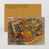 Herfst scène / pompoen & bitterzoet 4,25 x 5,6 inc briefkaart (Voorkant / Achterkant)