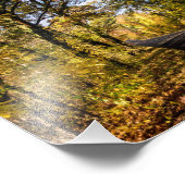 herfst schilderachtig foto afdruk (Hoek)