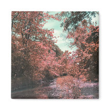 Herfst Schilderachtig pad