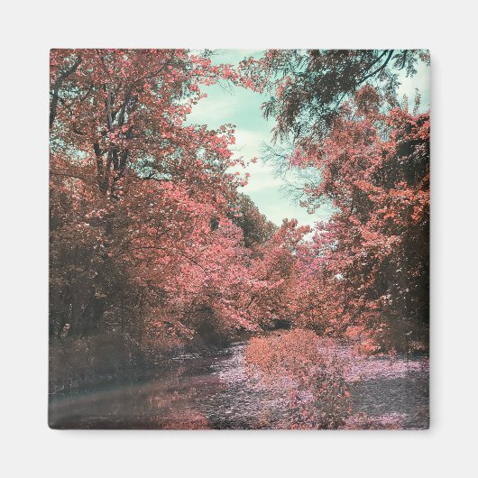 Herfst Schilderachtig pad Magneet (Voorkant)