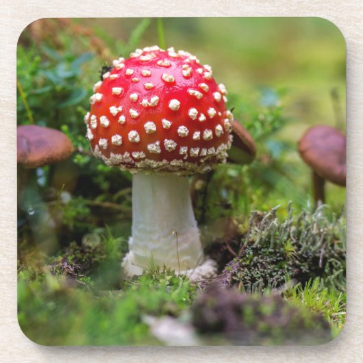 Herfst schoonheid bier onderzetter (Voorkant)