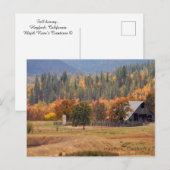 Herfst schoonheid... briefkaart (Voorkant / Achterkant)