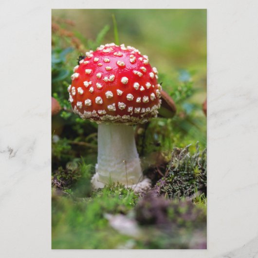 Herfst schoonheid briefpapier (Voorkant)