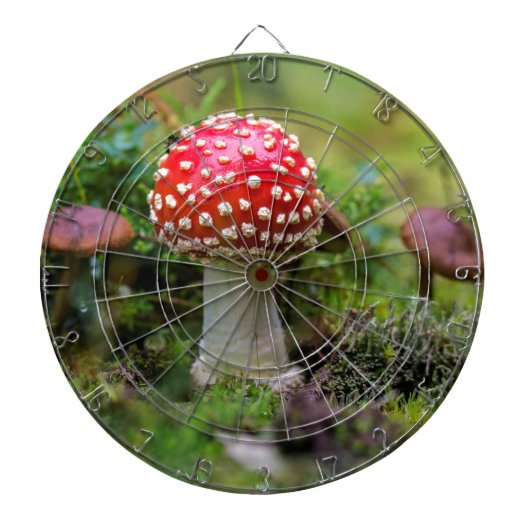 Herfst schoonheid dartbord (Voorkant)