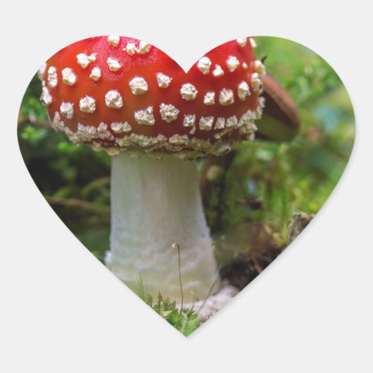 Herfst schoonheid hart sticker (Voorkant)