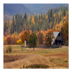 Herfst schoonheid in Hayfork, Californië.. Poster