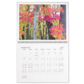 "HERFST SCHOONHEID" KALENDER 2025 (Feb 2027)