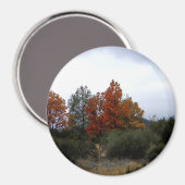 Herfst schoonheid.... magneet (Voorkant / Achterkant)