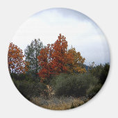 Herfst schoonheid.... magneet (Voorkant)