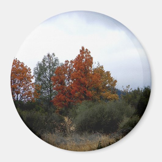 Herfst schoonheid.... magneet (Voorkant)