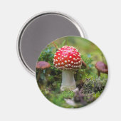 Herfst schoonheid magneet (Voorkant / Achterkant)