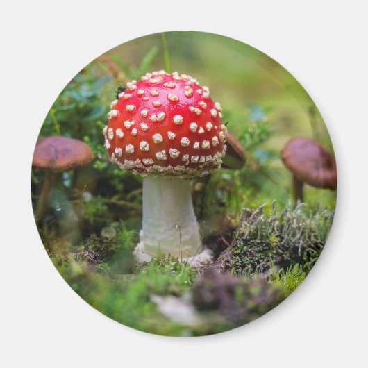 Herfst schoonheid magneet (Voorkant)