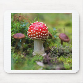 Herfst schoonheid muismat