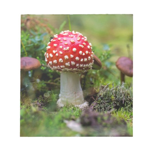Herfst schoonheid notitieblok (Voorkant)