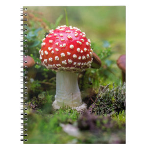 Herfst schoonheid notitieboek