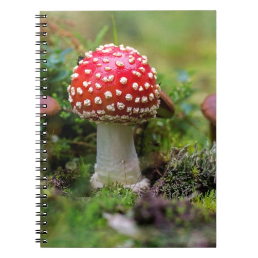 Herfst schoonheid notitieboek (Voorkant)