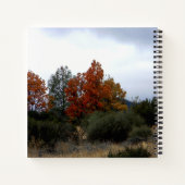 Herfst schoonheid.... notitieboek (Achterkant)