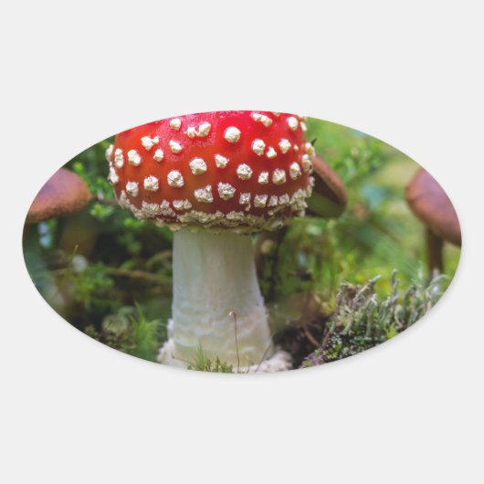 Herfst schoonheid ovale sticker (Voorkant)