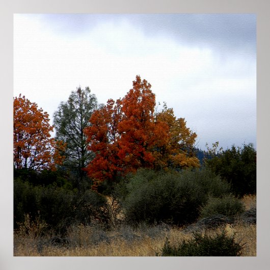 Herfst schoonheid.... poster (Voorkant)