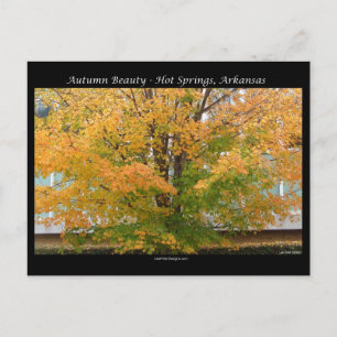 Herfst Schoonheid Warmwaterbronnen, Arkansas Kledi Briefkaart