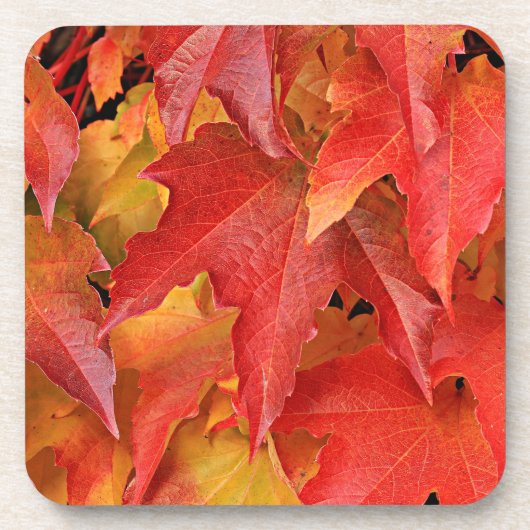 Herfst Season Onderzetter (Voorkant)