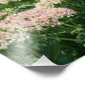 Herfst Sedum bloemblaadjes 10x8 Close Up Flower Foto Afdruk (Hoek)