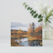 Herfst Serenade Finse Ruska Reflections Briefkaart (Staand voorkant)