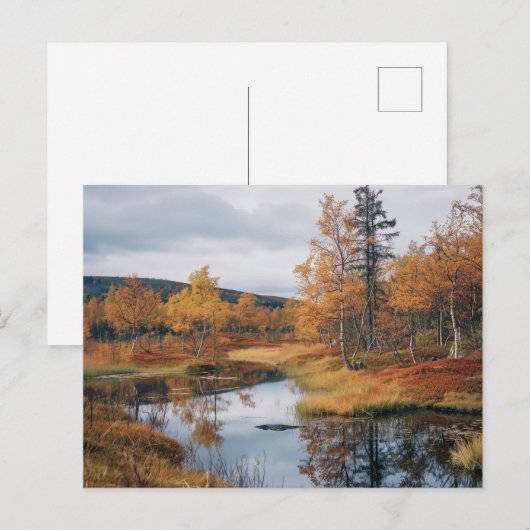 Herfst Serenade Finse Ruska Reflections Briefkaart (Voorkant / Achterkant)