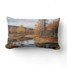 Herfst Serenade Finse Ruska Reflections