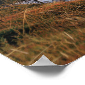 Herfst Serenade Finse Ruska Reflections Poster (Hoek)