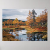 Herfst Serenade Finse Ruska Reflections Poster (Voorkant)
