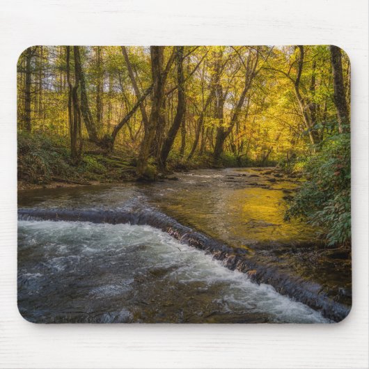 Herfst Sereniteit Bos Muismat (Voorkant)