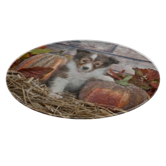 Herfst Sheltie Puppy Snijplank (Hoek)