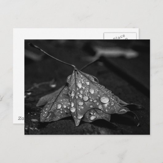 Herfst Showers Briefkaart (Voorkant / Achterkant)