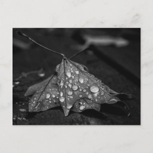 Herfst Showers Briefkaart