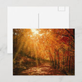 Herfst Sinaasappel Bruine Bomen Bos Natuur Foto Briefkaart (Voorkant / Achterkant)