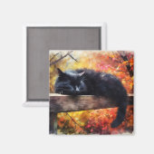 Herfst Slapen Zwarte Kat Magneet (Voorkant / Achterkant)