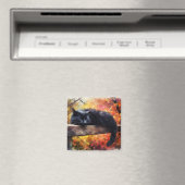 Herfst Slapen Zwarte Kat Magneet (Insitu (Vaatwasser))