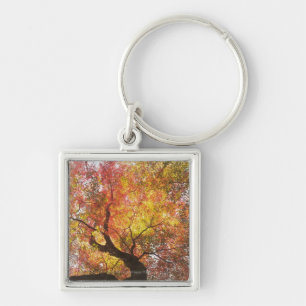 herfst sleutelhanger