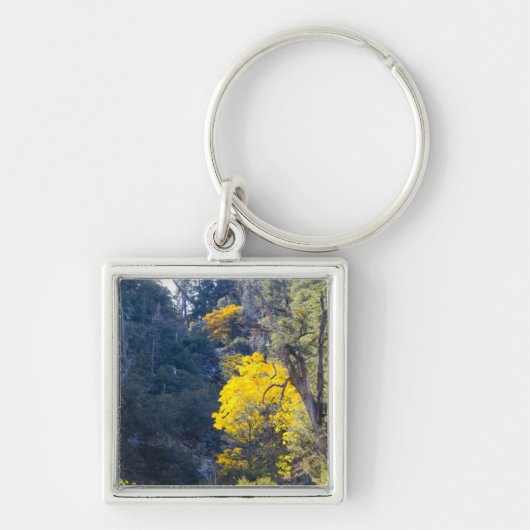 HERFST SLEUTELHANGER 6 (Voorkant)