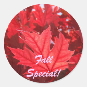Herfst Special! stickers Rode Herfstbladeren Blad