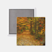 Herfst Splendor Magnet (Voorkant / Achterkant)