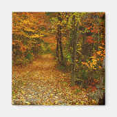 Herfst Splendor Magnet (Voorkant)