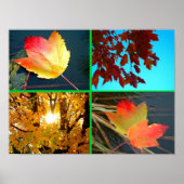 Herfst Splendor Poster (Voorkant)