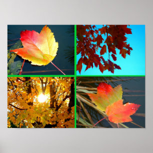 Herfst Splendor Poster