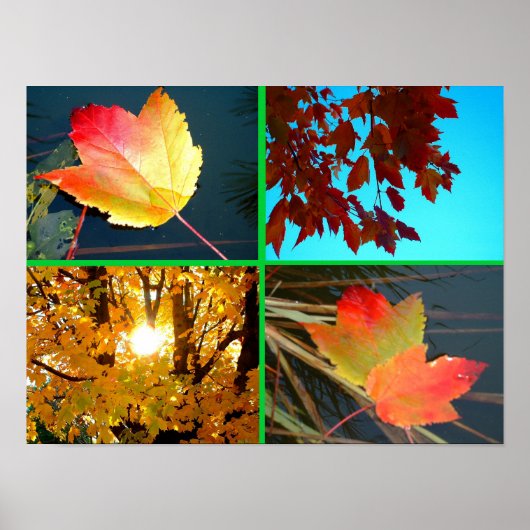 Herfst Splendor Poster (Voorkant)