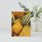 Herfst Squash Briefkaart (Staand voorkant)