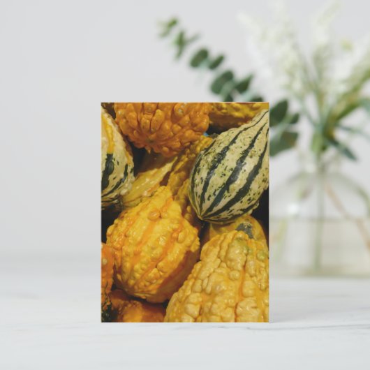 Herfst Squash Briefkaart (Staand voorkant)
