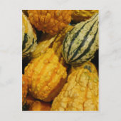 Herfst Squash Briefkaart (Voorkant)
